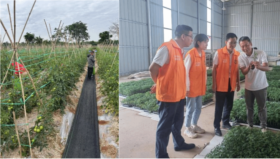 微信图片_20250518220954.png 微信图片_20250518220954.png