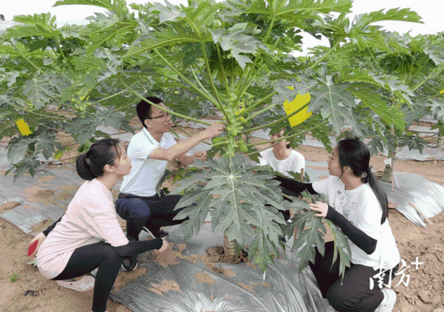 7db977e2baab4885b63b1bbe067e602c_batchwm.png 7db977e2baab4885b63b1bbe067e602c_batchwm.png