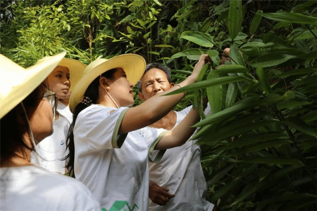 75a15ca610e04b989ad320c152b418d3.png 75a15ca610e04b989ad320c152b418d3.png