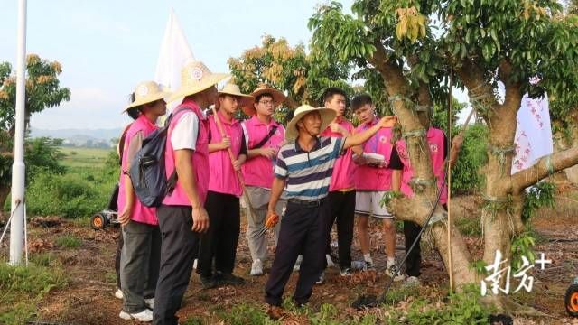 广东交通职业技术学院“百千万工程”突击队成员开展社会调研。