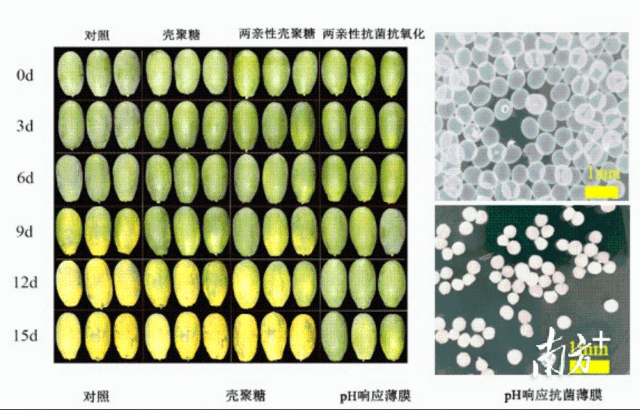 fe0d50ec29994b8487f611d038dc74cb_batchwm.png fe0d50ec29994b8487f611d038dc74cb_batchwm.png